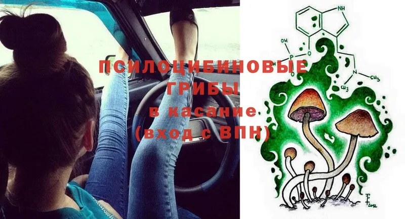 Псилоцибиновые грибы MAGIC MUSHROOMS  купить наркотики сайты  Ржев 